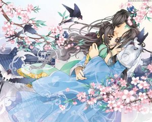 九色官方入口